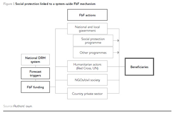 الشكل 1: الحماية الاجتماعية المرتبطة بآلية التمويل القائم على التنبّؤ على مستوى النظام